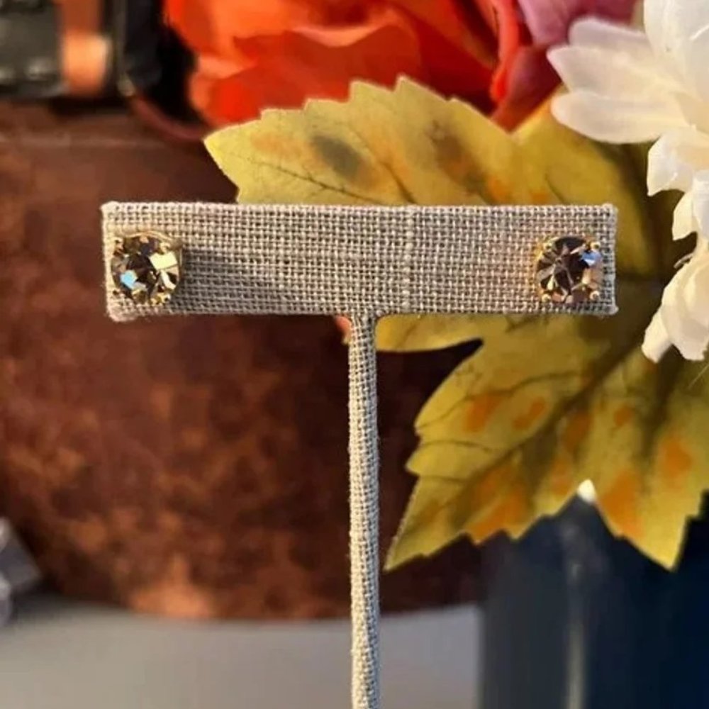 Park Lane Gold and Brown Stud Earrings
